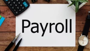 Canadian small business payroll software