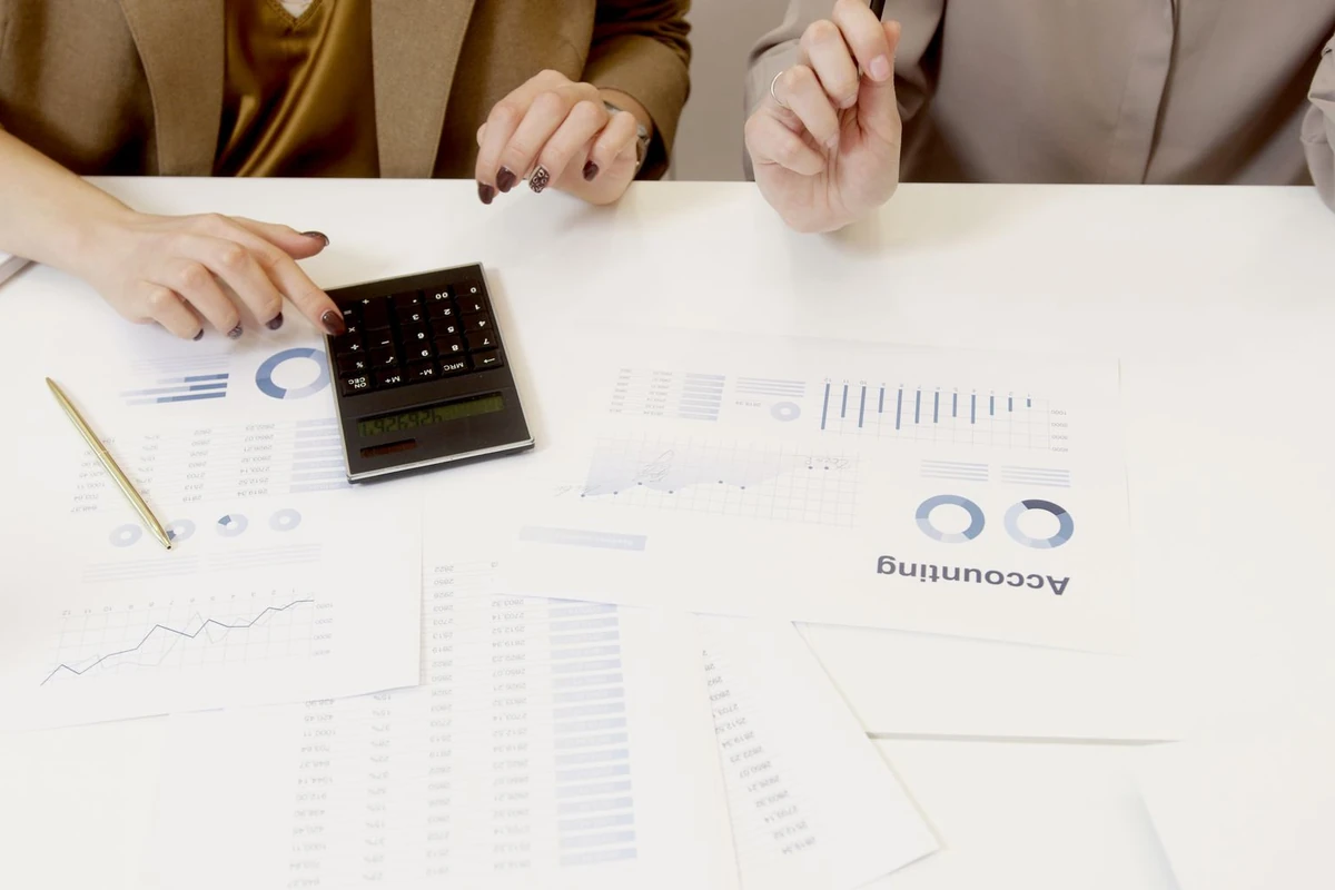 Two colleagues analysing accounting data together