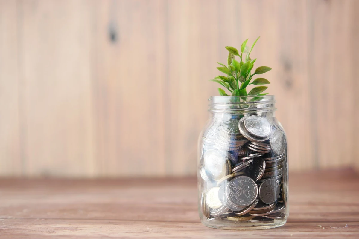 Small plant growing from a jar filled with coins